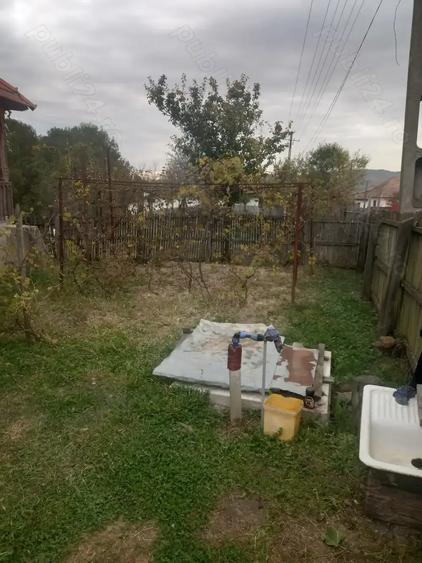 Vand casa batraneasca - 2