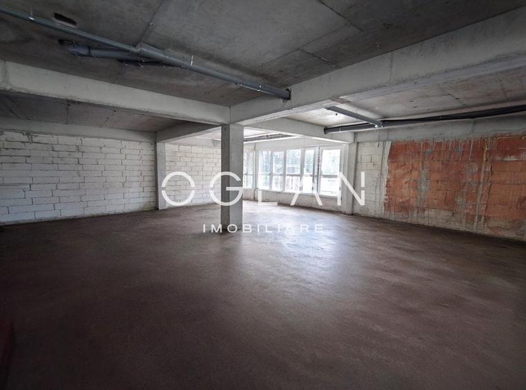 Spatiu Comercial 305 mp+ gradina 178mp, Bieltz/Turnisor - 5