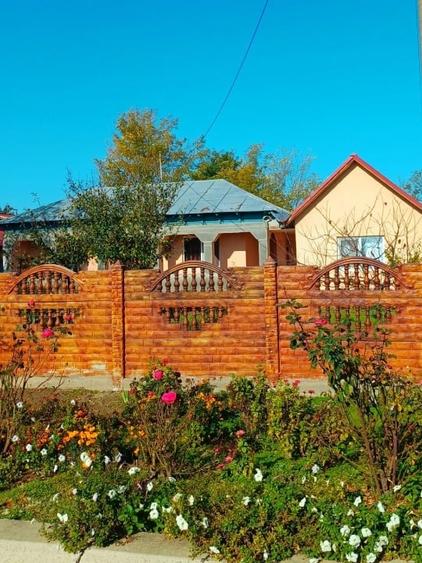 Casã de Vânzare - Bordei -Verde - 3