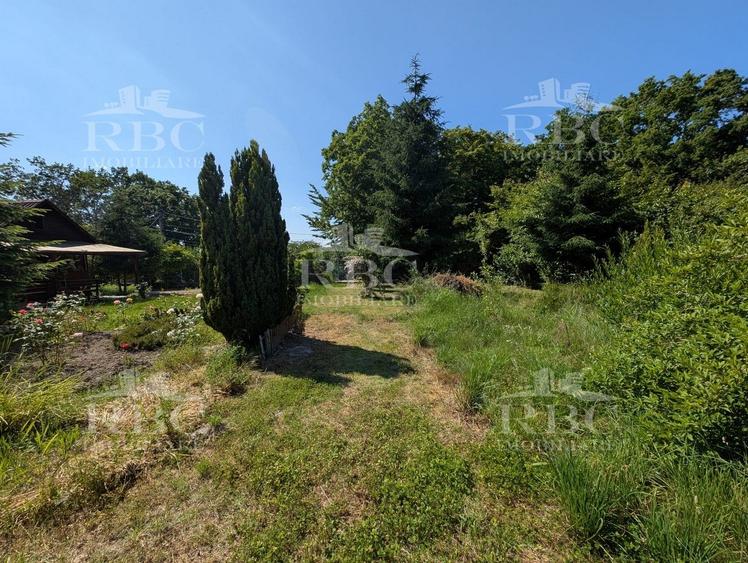 Teren pentru constructie casa in Faget - 6