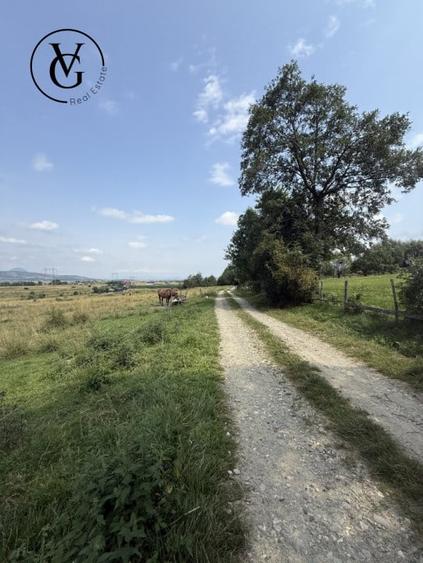 Teren intravilan 500 mp - Tohanul Nou - 1