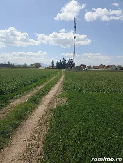 De vanzare teren extravilan lang drum DN11 - 2