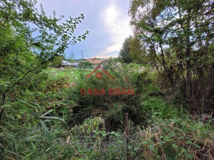 Teren intravilan in Telega--17.131 mp--180.000e - 6