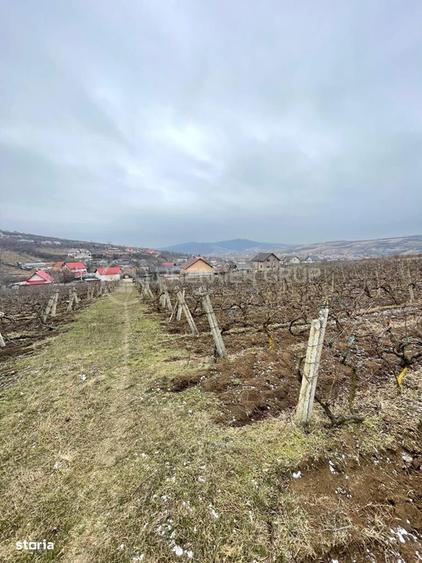 Teren intravilan 2.617mp, Chicerea, comuna Tomesti - 3