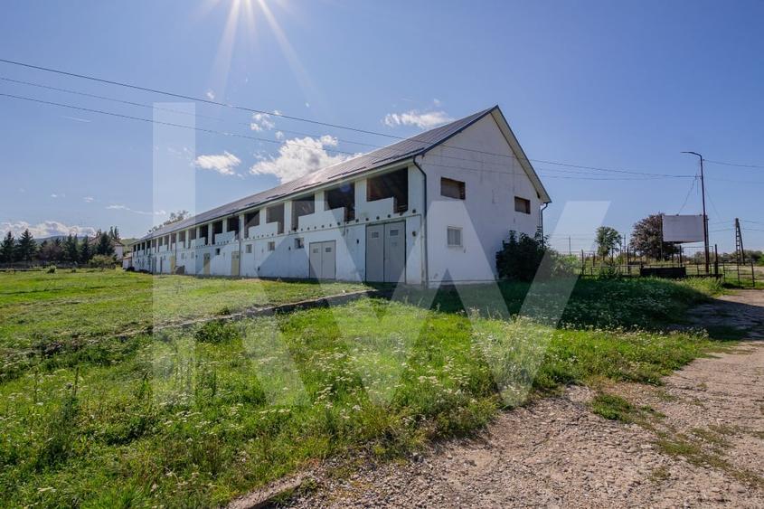 Proprietate industriala cu hale moderne, teren generos si acces Autostrada A1 - 7