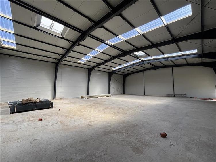 Inchiriere depozit/hala/spatiu industrial/showroom centura Chitila - Centura, IL - 8