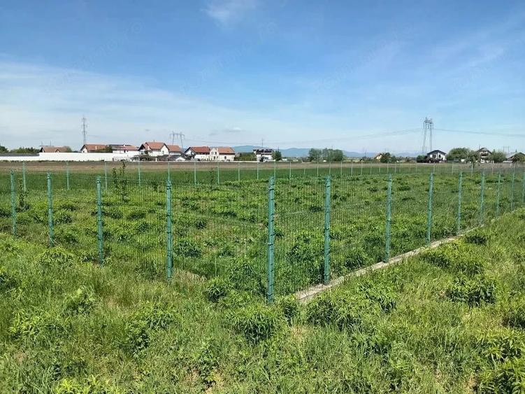 Teren Intravilan 837 mp Stupini - 2