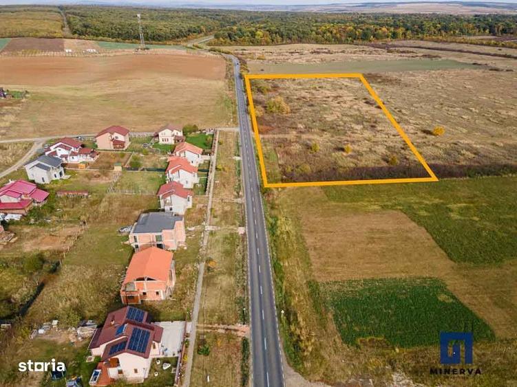 Teren ideal ca investitie, 19000 mp, in Pischia pe DJ691, comision 0 - 3