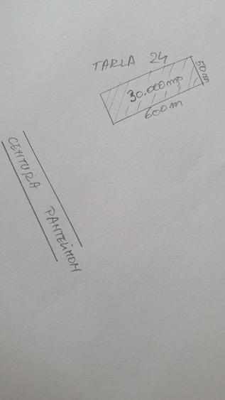 Pantelimon,  Centura, - 1