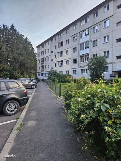 2 Camere, et 1/4, Platou Izvor - 2