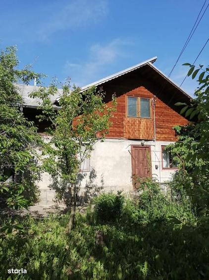 Oaza de liniste in Prahova | casa + anexa + teren |Carbunesti/ - 9