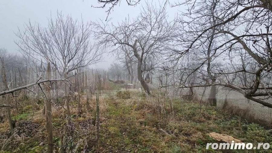 Casa individuala 3 camere, teren 2200 mp, garaj, terasa, pivnita, Pianu de Sus - 8