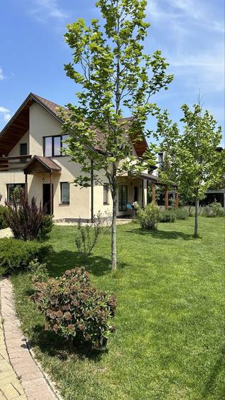 Casa 3 dormitoare + birou, 150 mp, curte 750 mp, Petresti Corbeanca, mobilata, incalzire pardoseala - 7