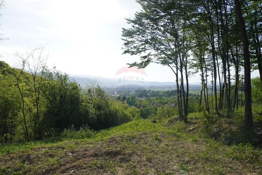 Teren 15,000mp Sighetu Marmatiei / Strada Mocăniței - 9