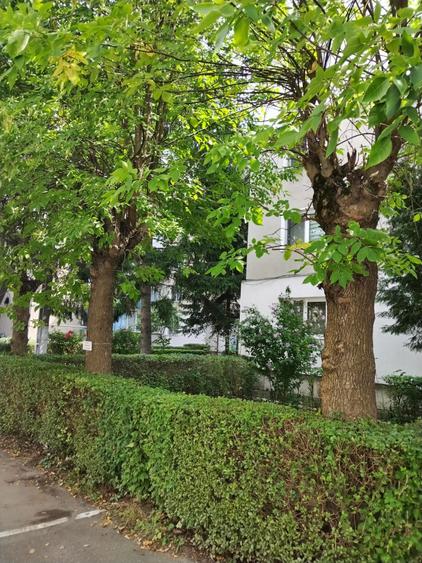 Vand/schimb apartament cu 3 camere,etaj 3, zona Kogalniceanu Deva - 5