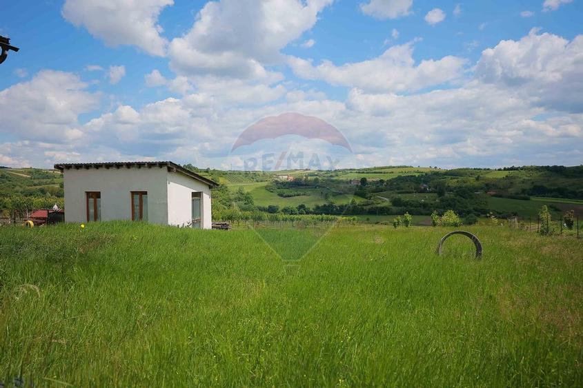 Casa cu 3 camere, anexa si 2042 mp teren de vanzare, in Calea Mare - 12