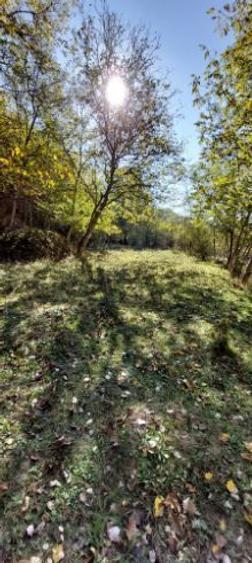 Teren chiar lângă râu 2700 mp la 1 km de pastravaria Doftana 4 km de Paltinu - 3