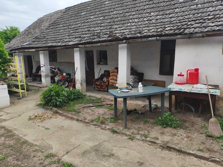 Casa de vanzare Peregu Mic, Jud Arad - 4