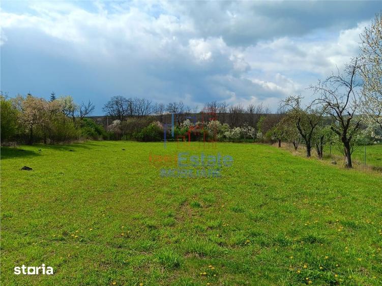 Badeni com Scobinti Iasi Constructii 245mp Teren 4239mp intravilan du - 19