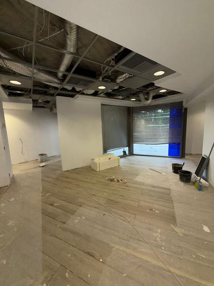 Parc Carol Spatiu Comercial 237 mp de vanzare sau inchiriere - 4