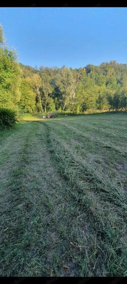 Cas de Vanzare Doma?nea - 7