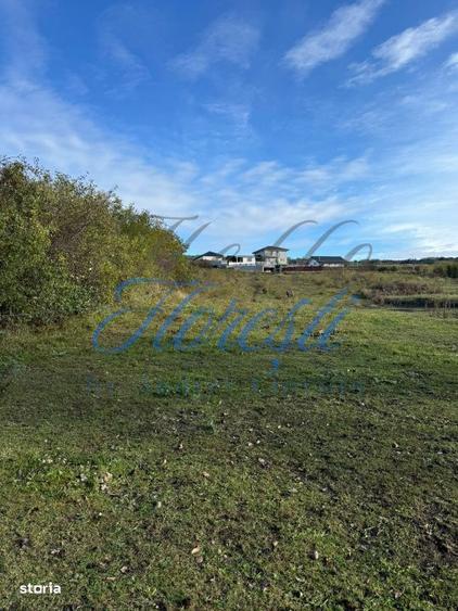 Teren extravilan 1829 mp front la strada 13.28 m zona Fanate - 3