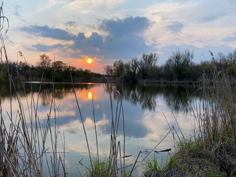 Teren Scrovistea- Balteni - 6