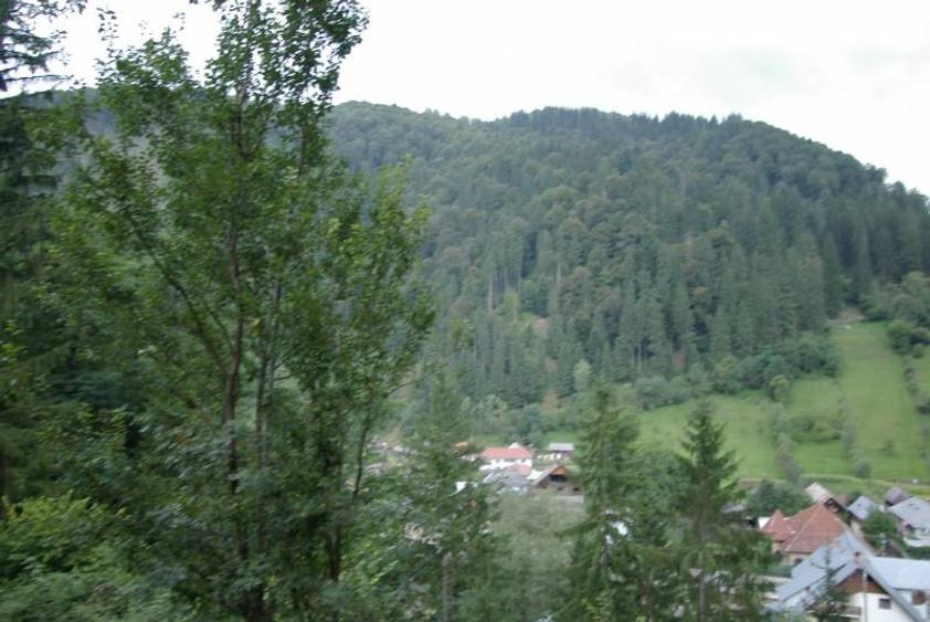 Teren agrement Voineasa IN SPATELE PRIMARIEI cu cabana ideal pentru pensiune - 6