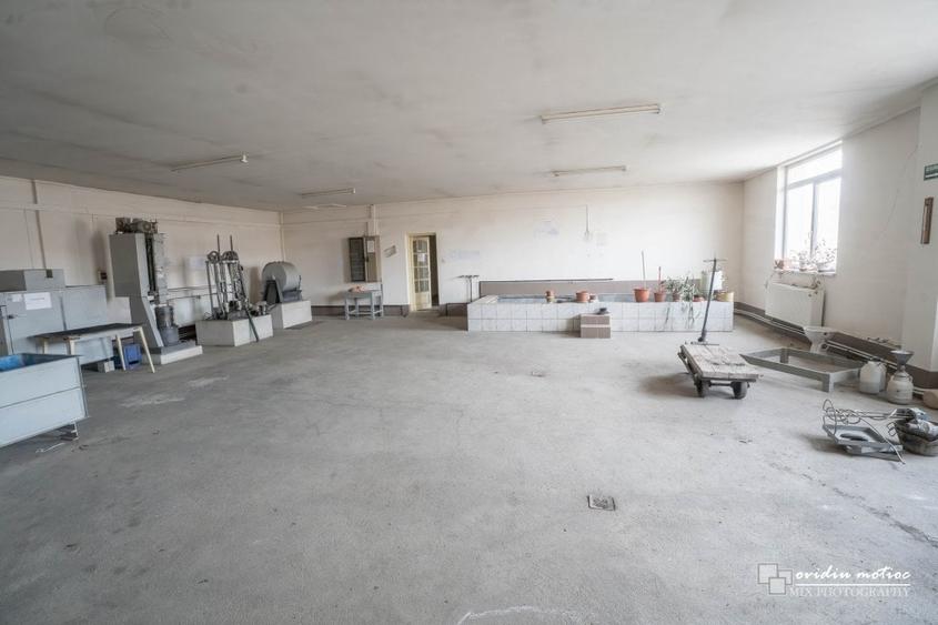 Laboratoare pentru microproductie - 3