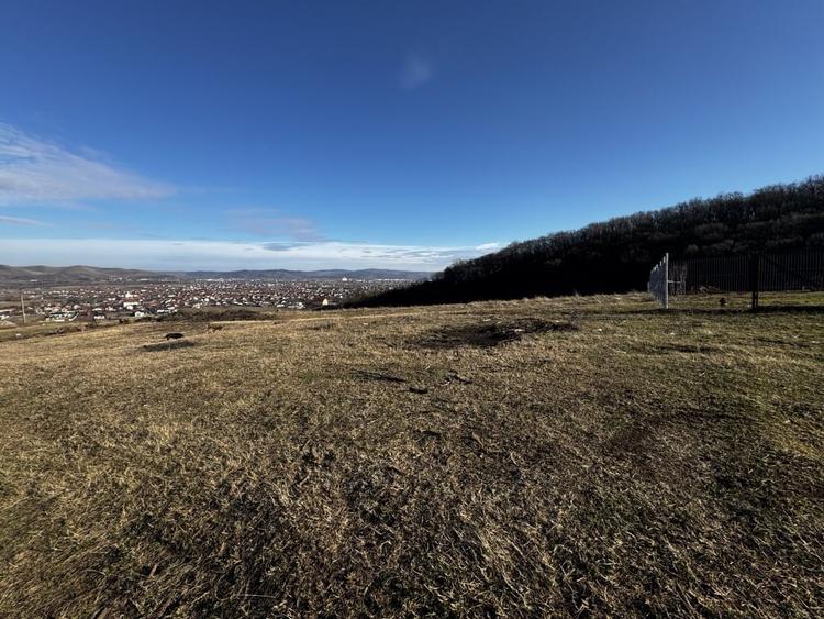 Oportunitate investitie 1153mp Tarnita - Micesti - 2