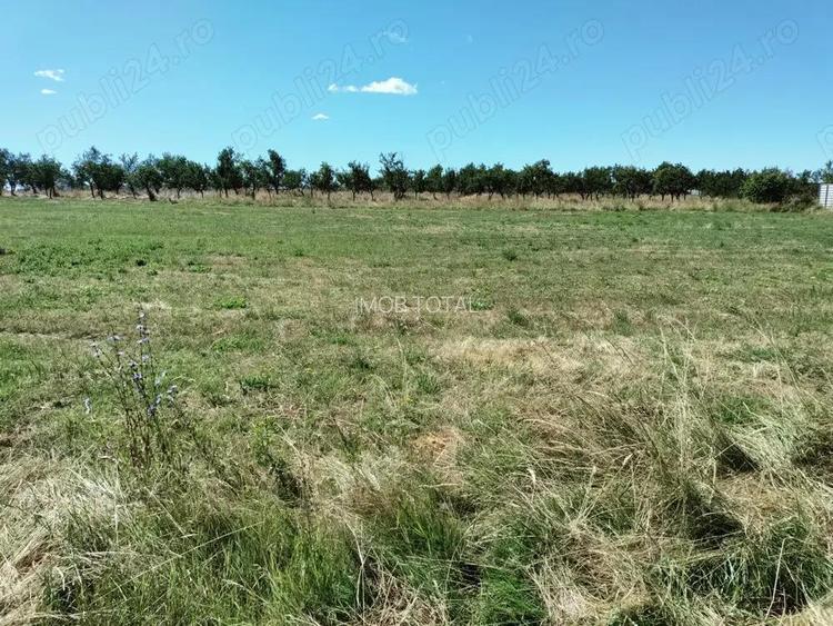 Parcele terenuri intre 600 si 1776 mp, Albota morlovani