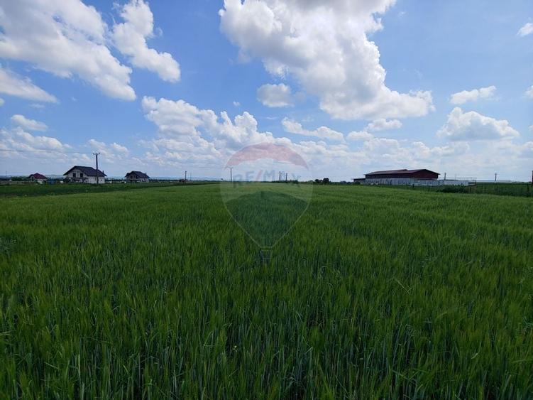 Teren intravilan 6,600mp Dumbraveni / Strada Principala spre Veresti - 15