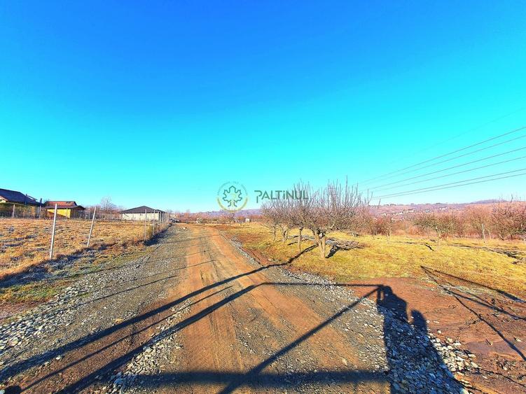 Descoperă Terenul Ideal: 390mp în Daia, Sibiu - 4