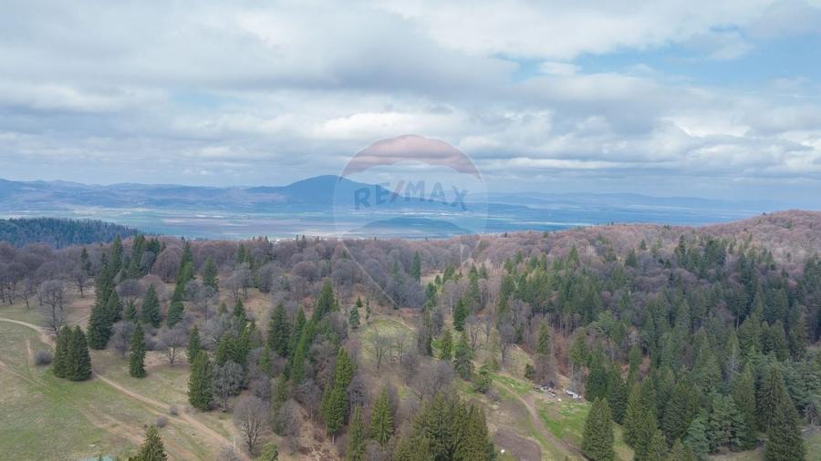 Teren Poiana Brasov, langa Stana turistica 1872mp, PUZ case/ pensiuni - 2