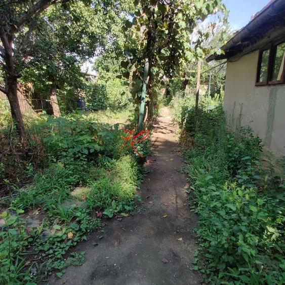 Vanzare teren Colentina - Moroeni - 1