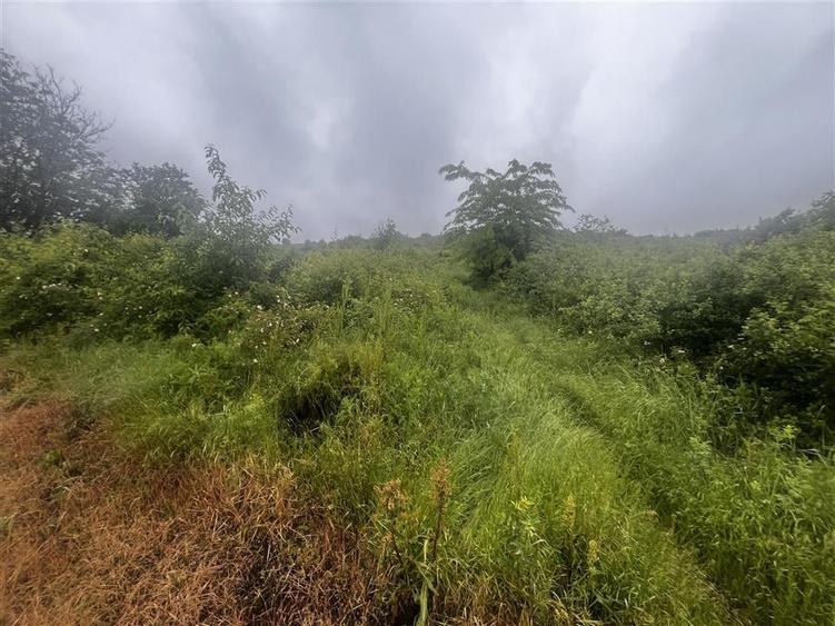 Teren intravilan, 1000mp, in Valea Calugareasca. - 4