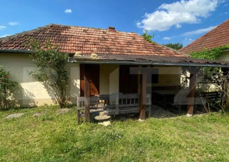 Casa de vanzare, 2 camere, 80 mp, zona Marius, langa Valea - 4