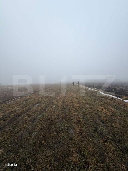 Teren rezidential 25 ari Patrauti, 10 min de Suceava - 3