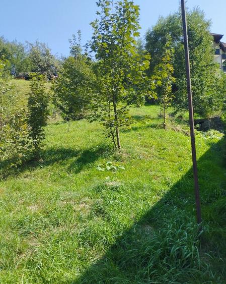 Vila Moieciu intre mun?ii Bucegi ?i Piatra Craiului - De v. sau schimb - 5