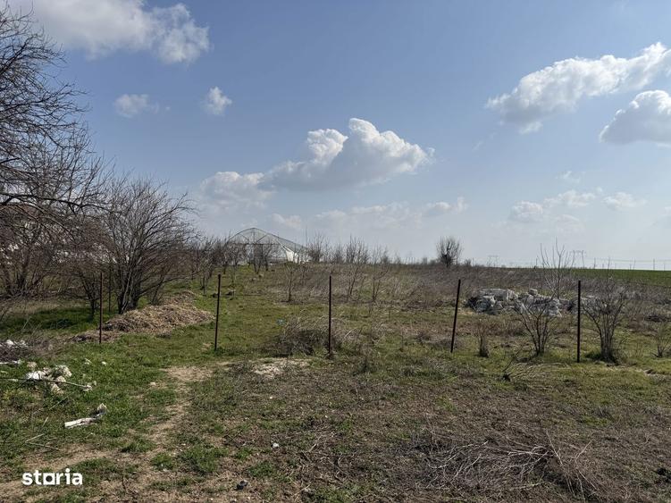 Teren intravilan Frumu?ani, zona Pasarea | Deschidere 22,5 m - 4