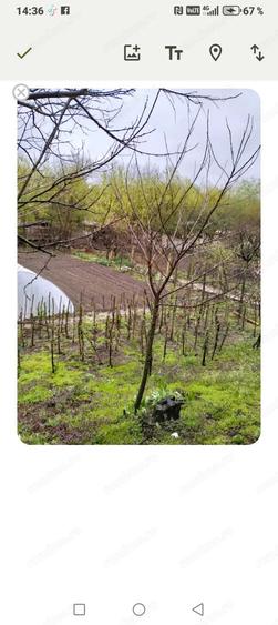 Casa de vanzare cotofeni din fata - 2