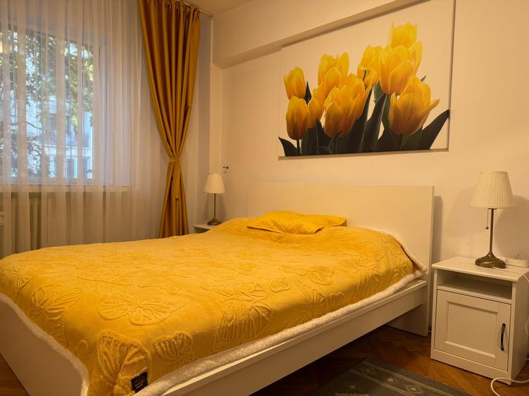 Ap.2 camere zona Cismigiu-Parcul Izvor -B-dul Mihail Kogalniceanu - 6