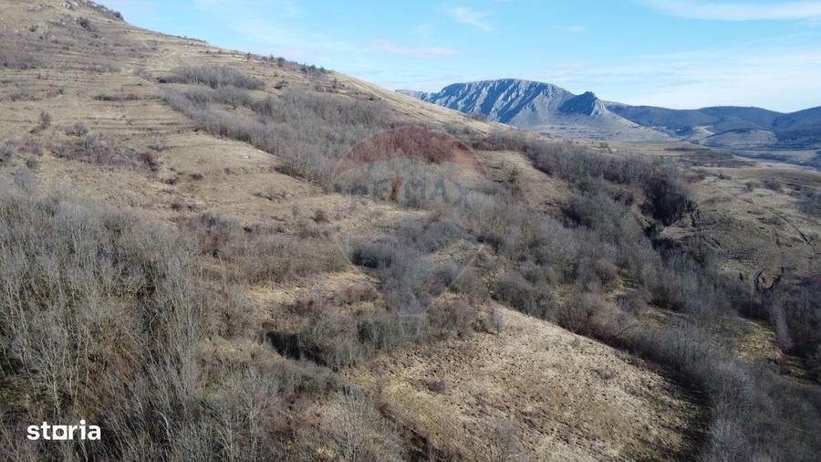 Casa din piatra la poalele Bedeleului Izvoarele, Alba - 5