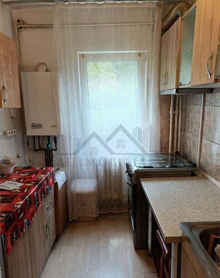 Apartament 1 camera Frumoasa - 2