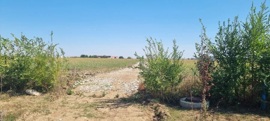 Teren intravilan Balotesti, Complex Good Afternoong - 1