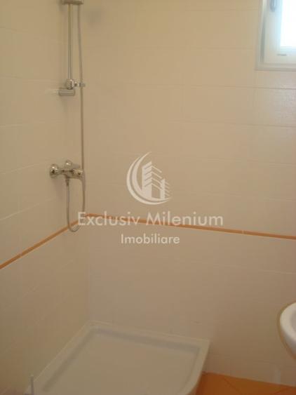 Spatiu Birouri la casa Tei-Barcu Vacarescu - 8