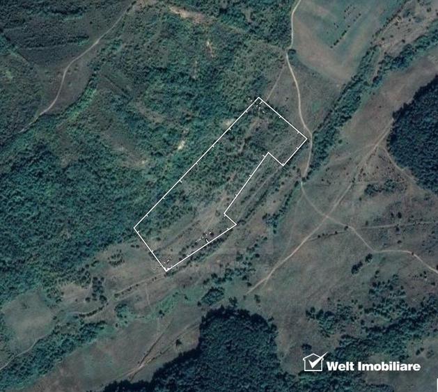 Teren extravilan, Valea Chiejdului, 5 ha, expunere S-E - 2