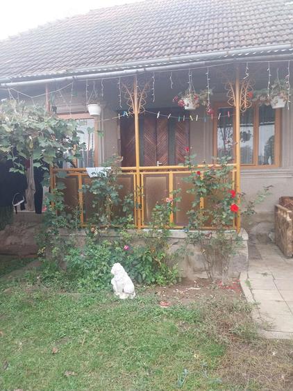 casa de vinzare sat Tohesti com Halmagel jud Arad - 1