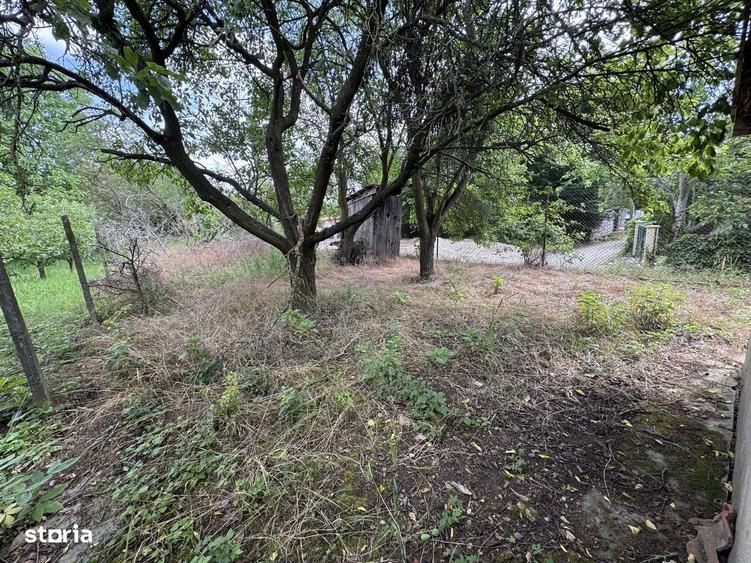 Teren intravilan / gradina cu cabanuta , zona Bercu Rosu - 7