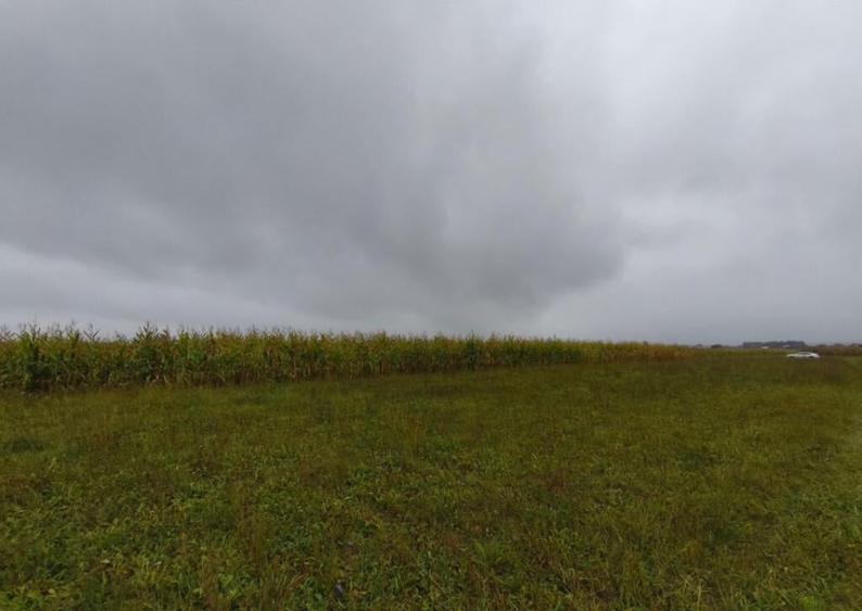 Teren intravilan, 5200mp, front 27ml, Fratautii Vechi, Radau - 3